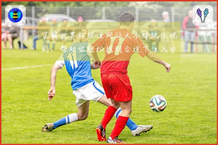 了解世界杯投注网站大小球玩法规则，帮助你轻松找到合适下注入口