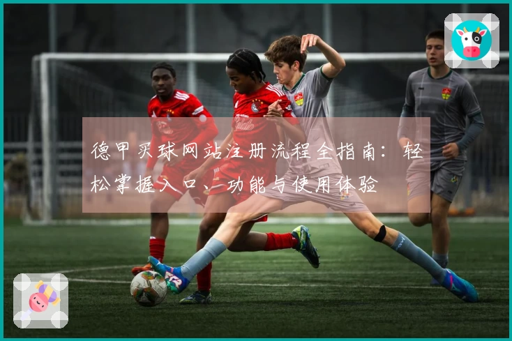 德甲买球网站注册流程全指南：轻松掌握入口、功能与使用体验