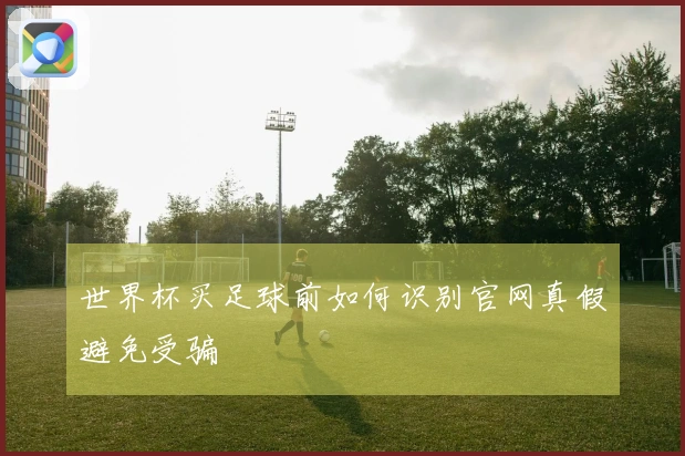 世界杯买足球前如何识别官网真假避免受骗
