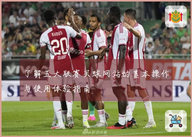 了解五大联赛买球网站的基本操作与使用体验指南