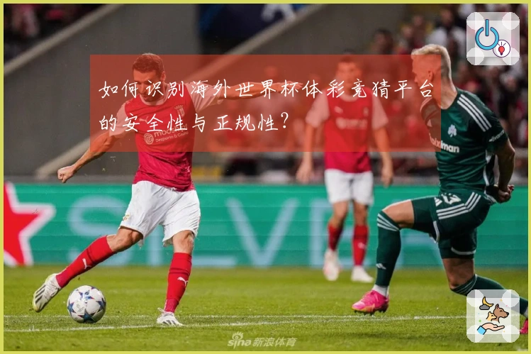如何识别海外世界杯体彩竞猜平台的安全性与正规性？