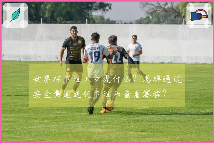 世界杯下注入口是什么？怎样通过安全渠道进行下注和查看赛程？