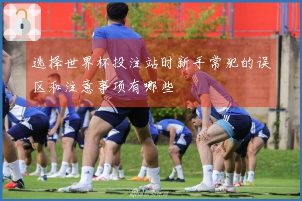 选择世界杯投注站时新手常犯的误区和注意事项有哪些