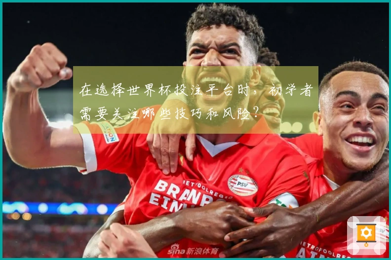 在选择世界杯投注平台时,初学者需要关注哪些技巧和风险?
