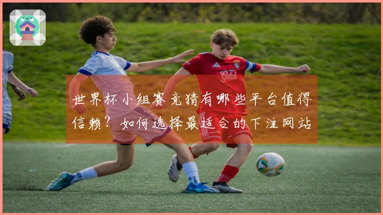 世界杯小组赛竞猜有哪些平台值得信赖？如何选择最适合的下注网站？