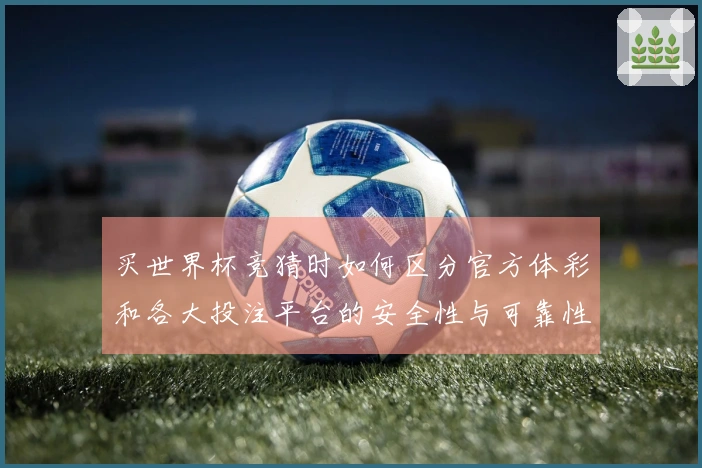 买世界杯竞猜时如何区分官方体彩和各大投注平台的安全性与可靠性