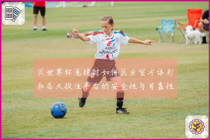 买世界杯竞猜时如何区分官方体彩和各大投注平台的安全性与可靠性