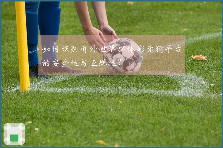 如何识别海外世界杯体彩竞猜平台的安全性与正规性？