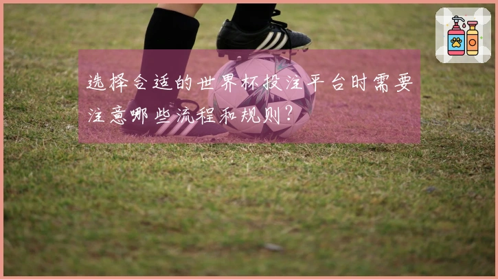 选择合适的世界杯投注平台时需要注意哪些流程和规则？
