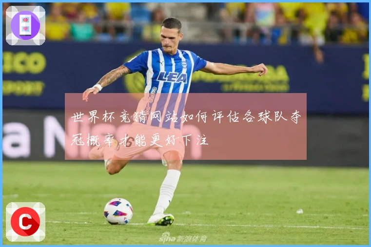 世界杯竞猜网站如何评估各球队夺冠概率才能更好下注